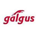 Galgus